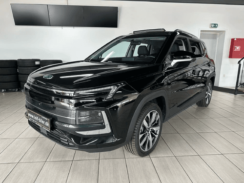 JAC e-JS4